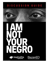 Picture of I Am Not Your Negro - Discussion Guide